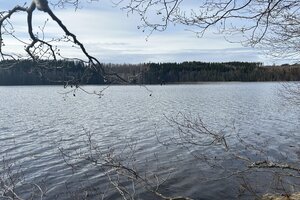 Kivisensuontie, Sauvonmäki, Hankasalmi