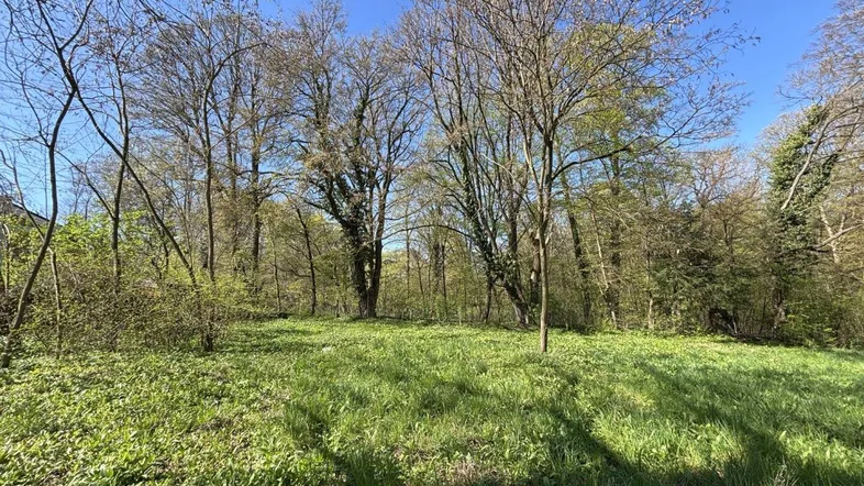3400 Klosterneuburg