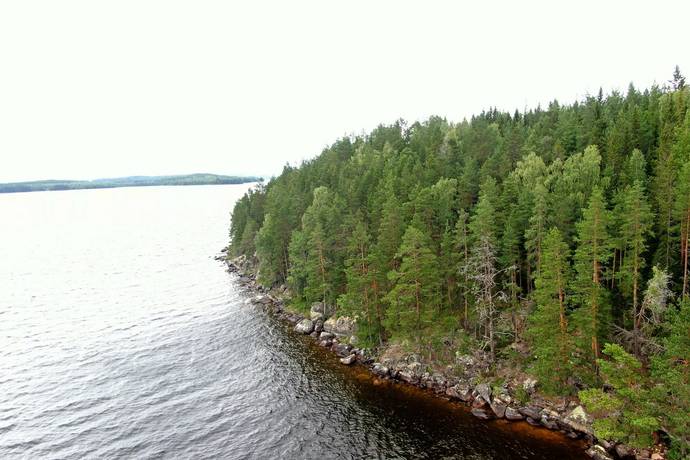 Bräcke, Bräcke kommun