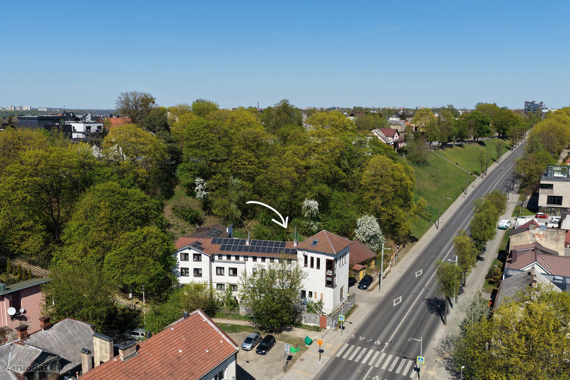 Kaunas, Žaliakalnis Savanorių pr.