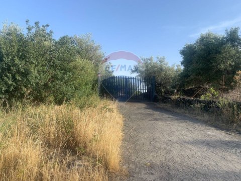 Mascalucia,  IT