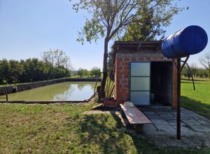 Petrijevci, Petrijevci center