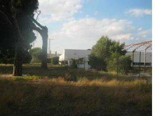 Tordesillas,  ES