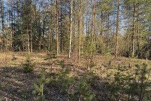 Papulankatu 9, Tornionmäki, Kouvola