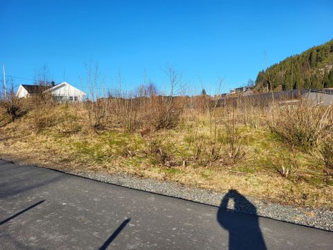 Bustølen, Frekhaug