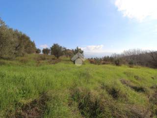 Montalto Uffugo,  IT