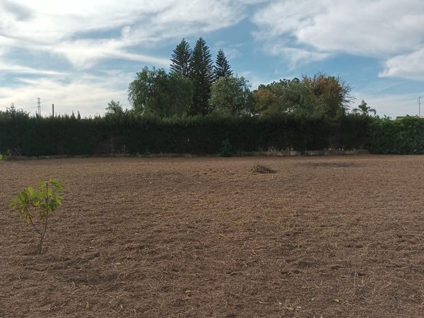 Utrera,  ES