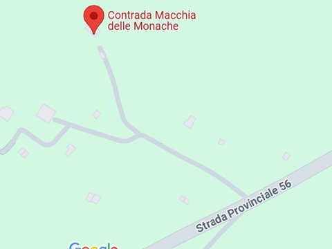 Molfetta,  IT