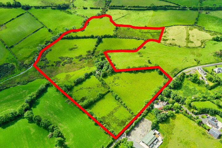 Land And Derelict Cottage,Ballydurrow, Ryefield, Virginia, Co. Cavan