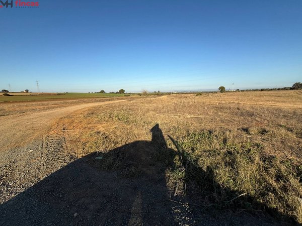 Carmona,  ES