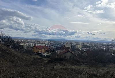 Valea Roșie, Baia Mare