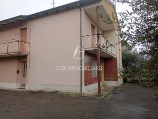 Cotignola,  IT