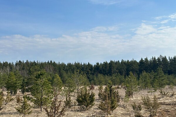 Lääne-Virumaa, Rakvere vald, Karivärava
