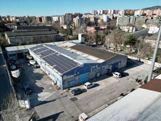 Trieste,  IT