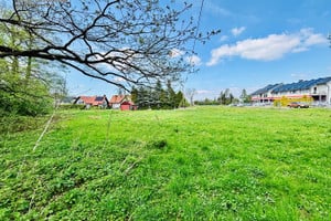 Jaworze