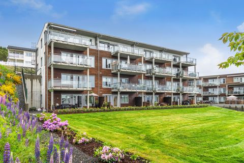 Jordbærvegen 31, Molde
