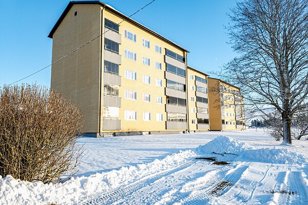 Viljandimaa, Viljandi vald, Viiratsi, Sõpruse 20