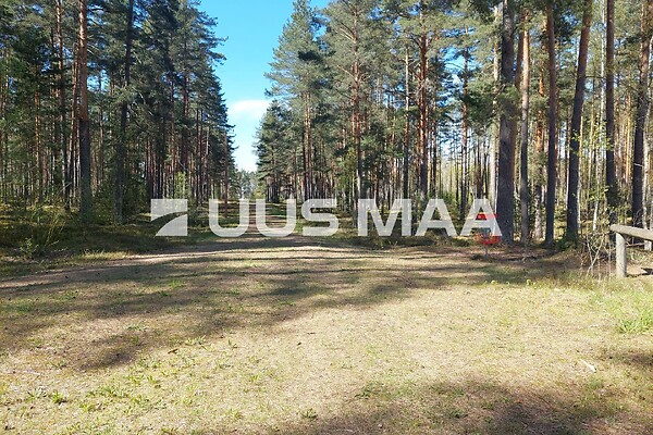 Võrumaa, Setomaa vald, Värska, Kooli tn