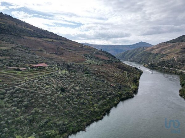Ervedosa do Douro,  PT