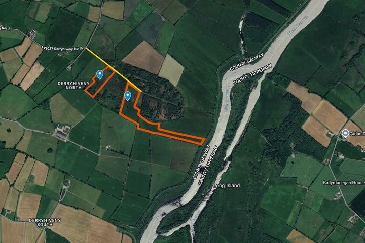 Derryhiveny North, Ballycrissane, Ballinasloe, Co. Galway
