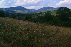 Świdnik