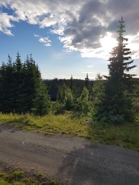 Raubekkvegen 150, Fagernes