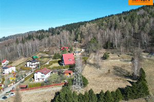 Wilkowice