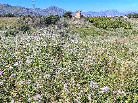 Bagheria,  IT