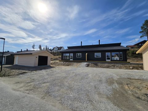 Finnlendermoen 29B, Tynset