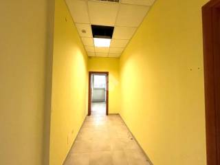 Cosenza,  IT
