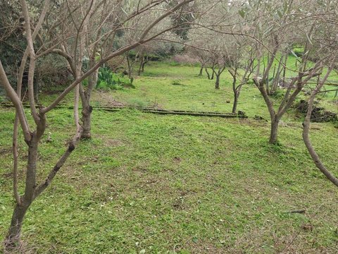 San Giovanni la Punta,  IT