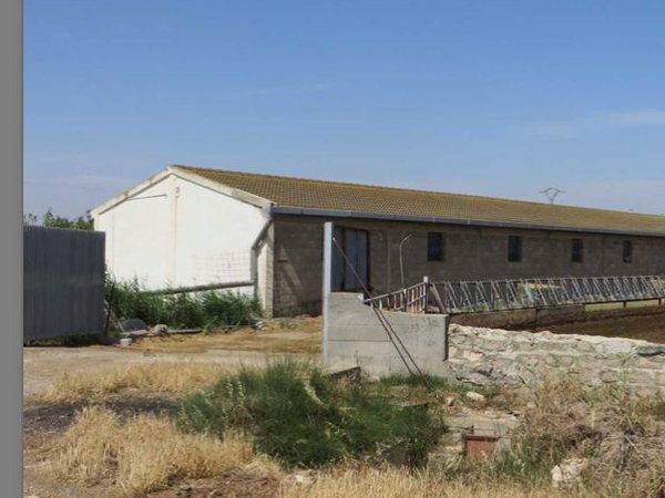 Pedrola,  ES