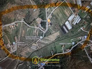 Massarosa,  IT