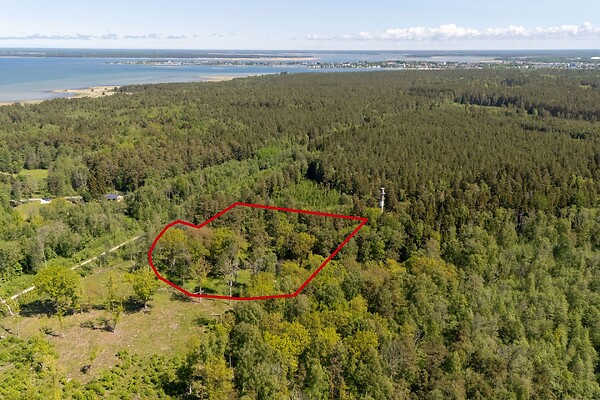 plot for sale, residential land - Hille, Paralepa, Haapsalu, Läänemaa