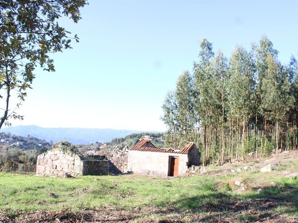 Ventosa,  PT