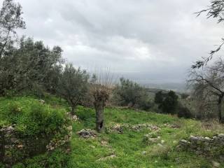 Thouria,  GR