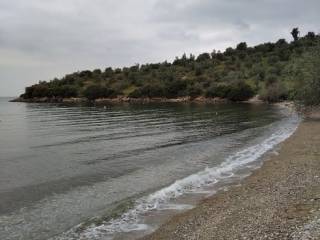Argalasti,  GR