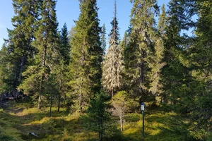 Syöte, Riihikumpu, Riihikummuntie Kortteli 30, tontti 2, Syöte, Pudasjärvi