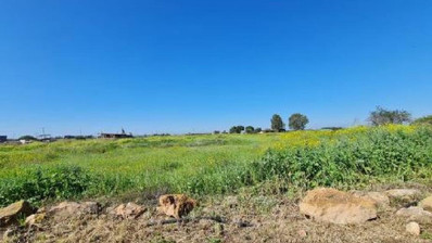 Frenaros, Famagusta