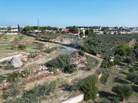 Bitonto,  IT