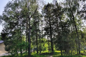 Kustaalantie 74, Kotiranta, Vaasa