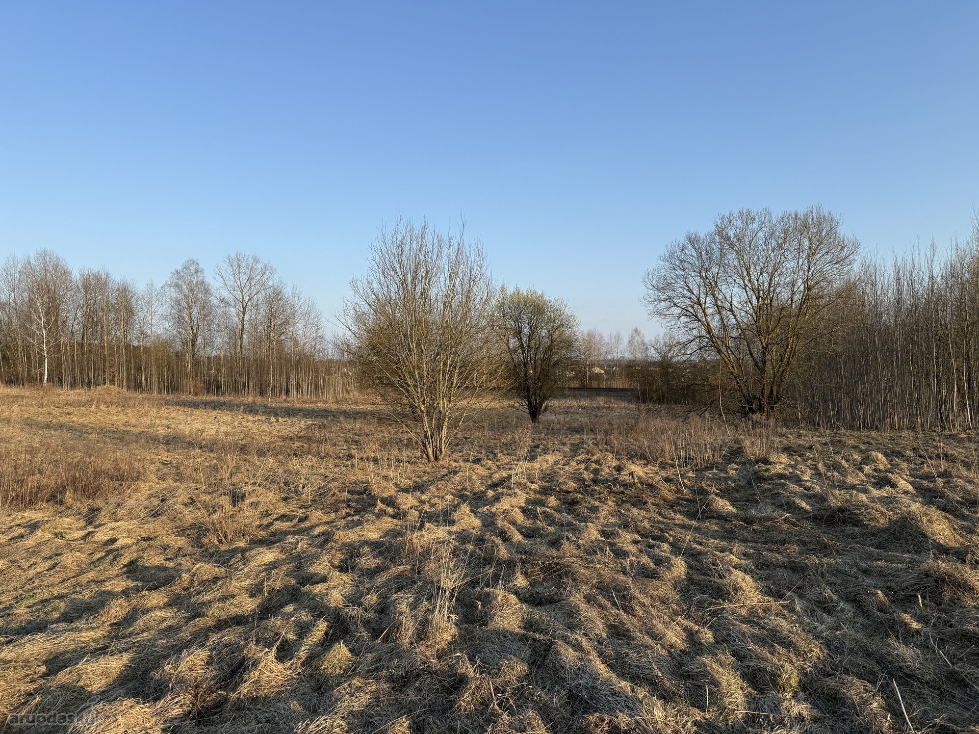 Vilniaus r. sav., Katiliškių k. Bruknių g.