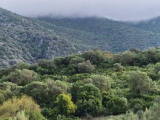 Ubrique,  ES