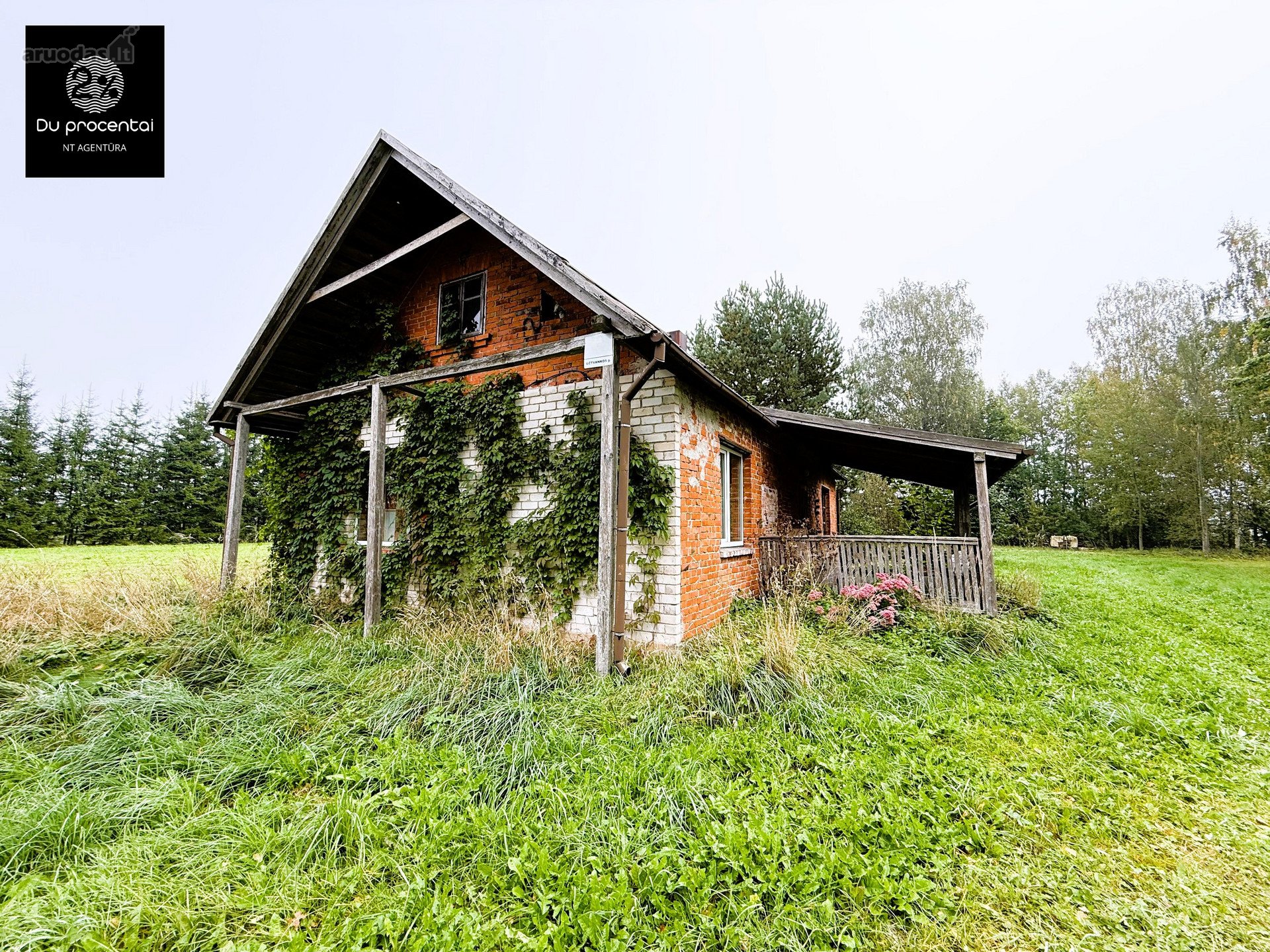 Biržų r. sav., Rinkuškių k. Užtvankos g.