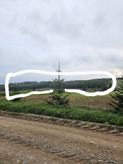 Kalvarija, Girkantų k., prieš 3 val.