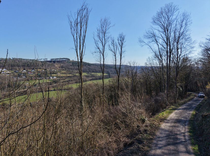 Roisse Herbet 7 6940 Durbuy