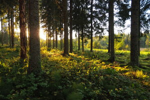 Kannistontie 2, Mahnala, Hämeenkyrö
