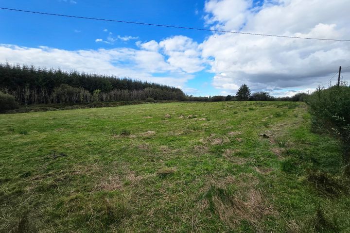 Ballydineen, Knockalough, Ennis, Co. Clare