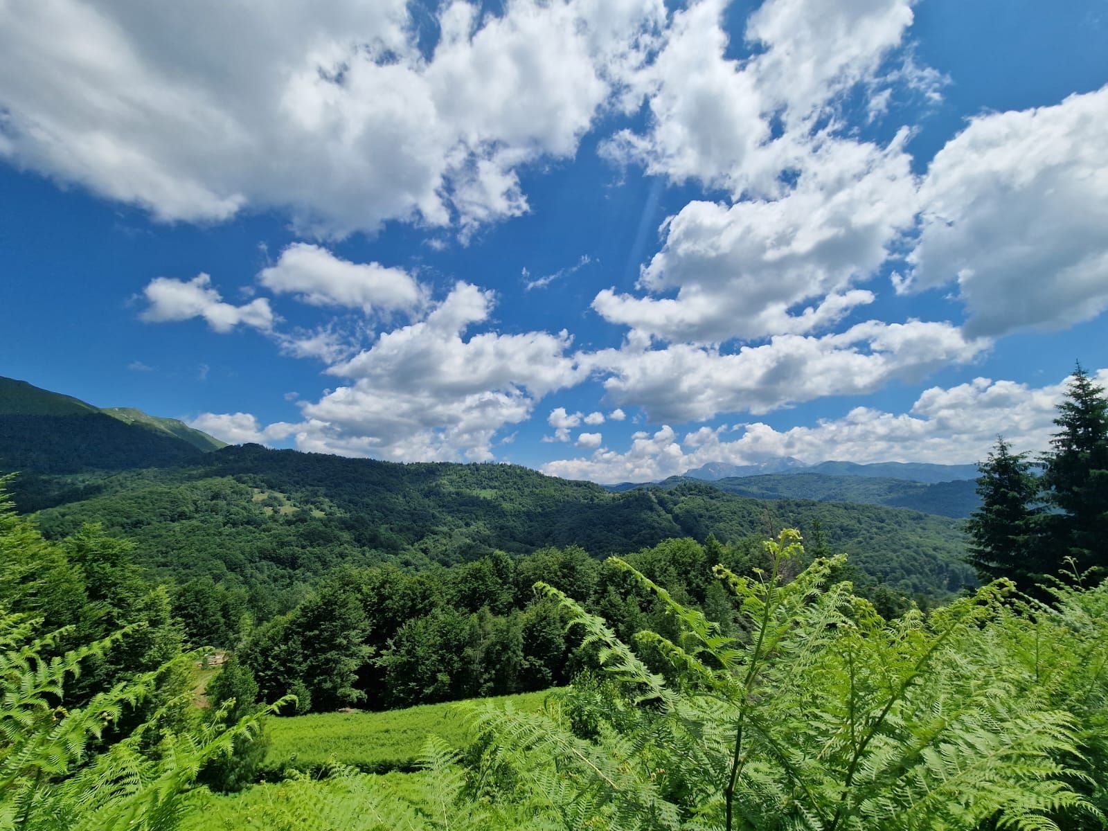 Kolasin, Izlasci