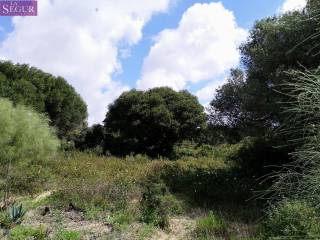 Barbate,  ES